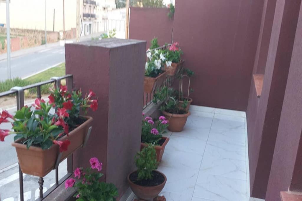 Apartamento Vacaciones Palafrugell Exterior photo